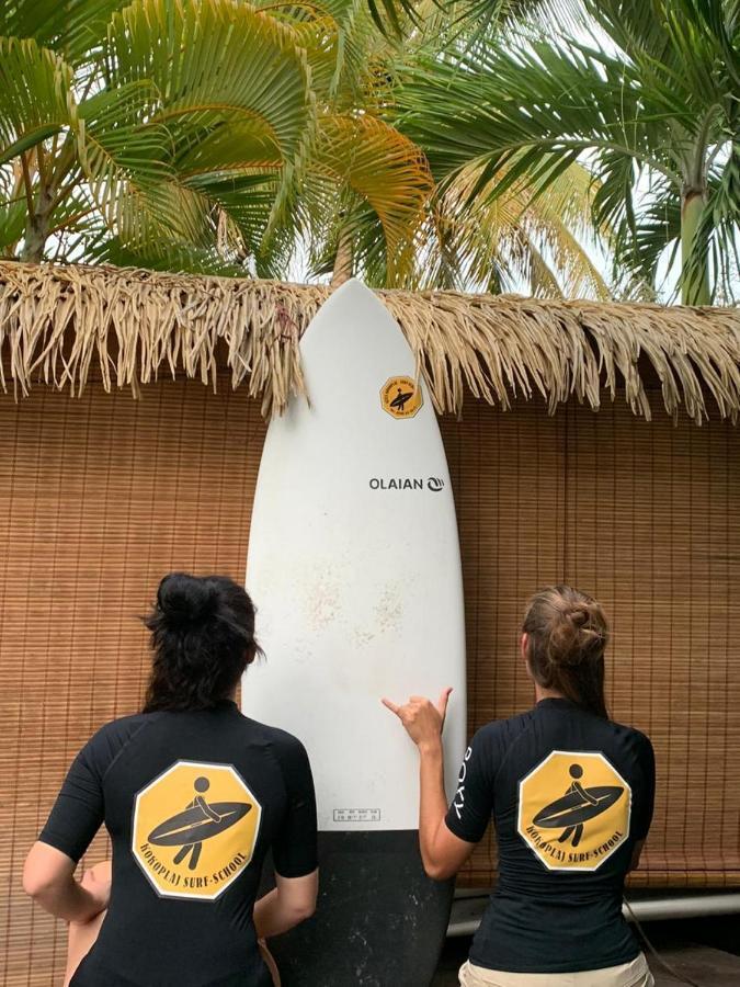 Surf Camp Kokoplaj, A 150M De La Plage Et Du Spot De Surf Sainte-Anne  Eksteriør billede